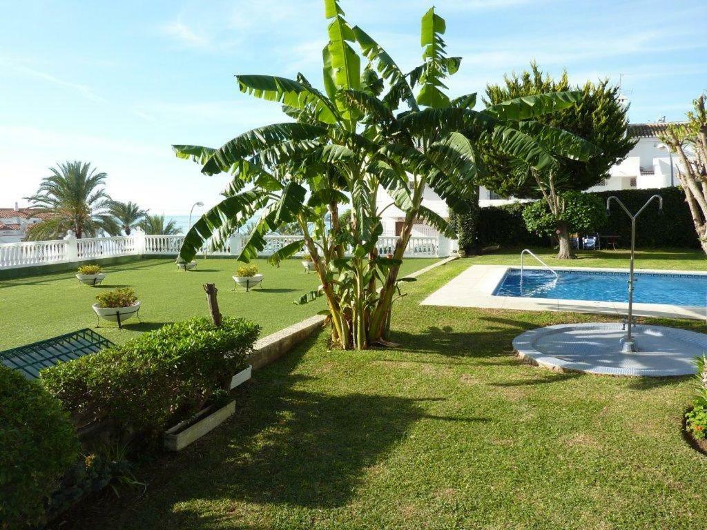 Los Cisnes Studio Apartment